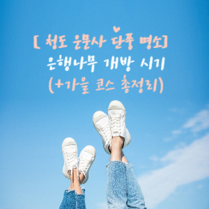 청도 운문사 단풍명소