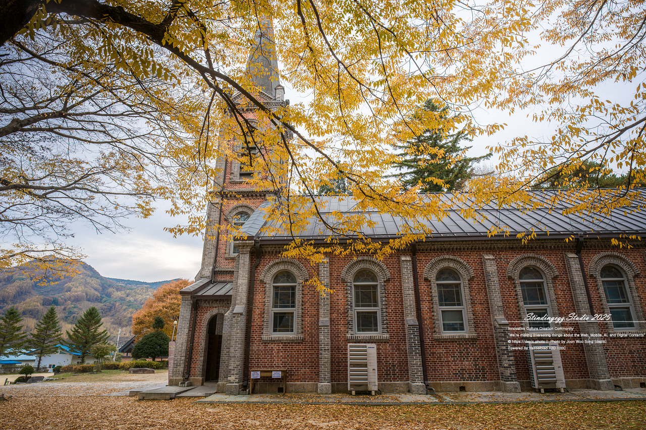 #원주 #가톨릭 #성당 #가을