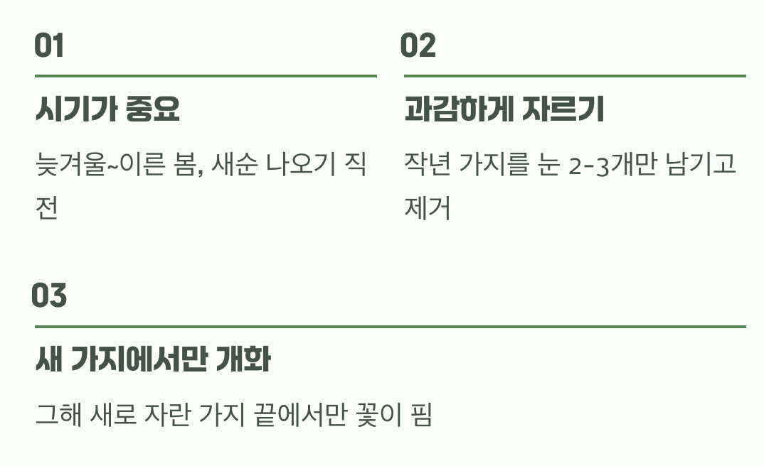 폭발적인 꽃을 위한 약속&amp;#44; &amp;#39;가지치기&amp;#39;