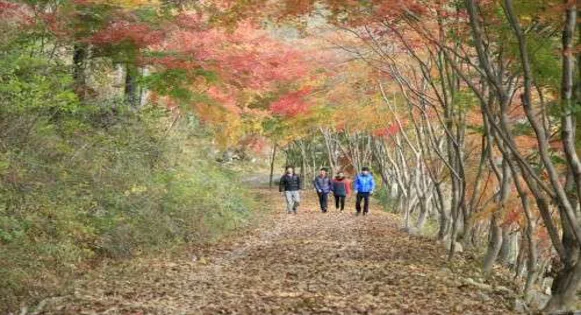 제암산자연휴양림