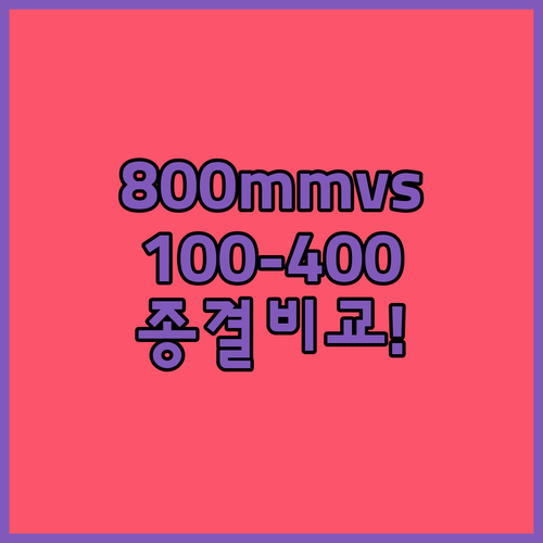 소니 800mm 망원 렌즈와 니콘 1..