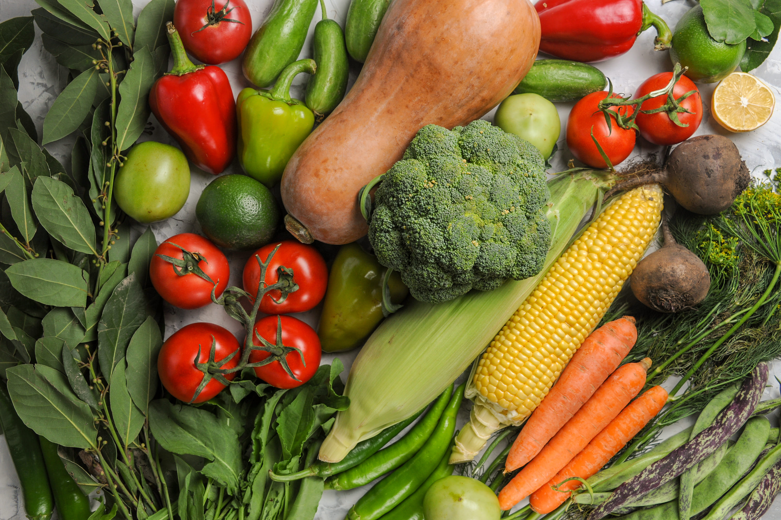 [농업]실내에서도 잘 자라는 채소 TOP 10 &ndash; 초보자 추천 작물