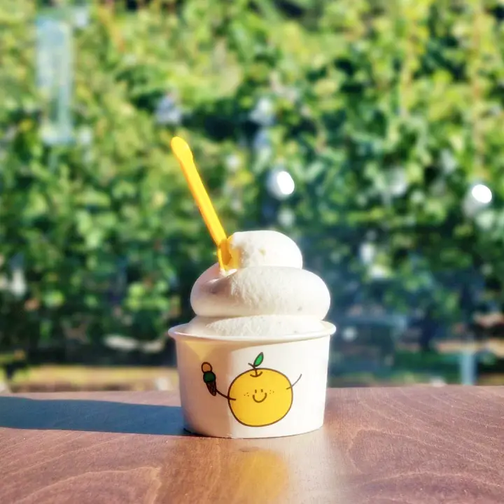 생방송오늘저녁 강원도 양양 배 아이스크림 낙산배 젤라또 디저트 카페 맛집