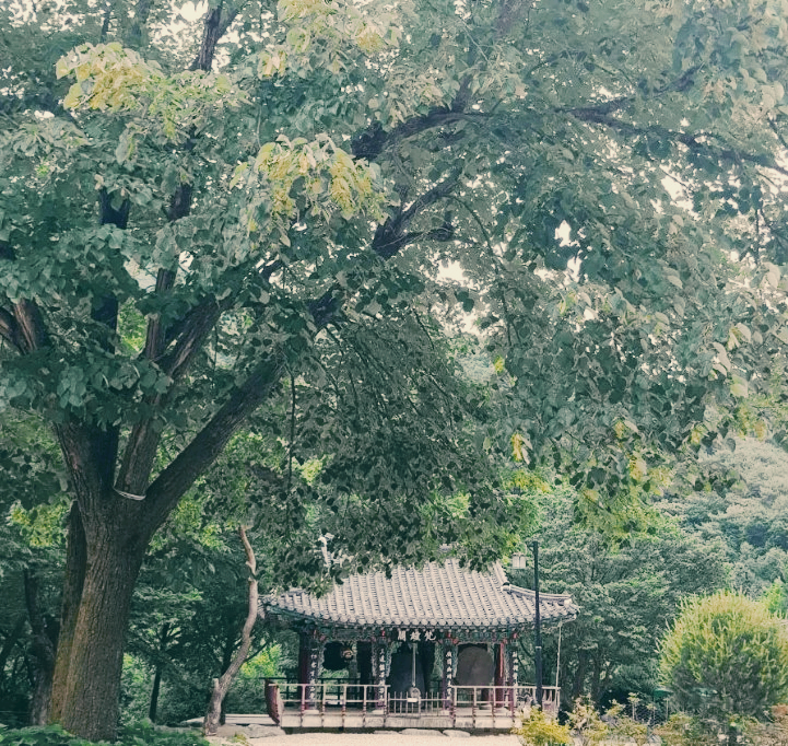 사나사
