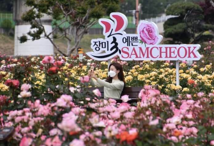 5월 강원도 축제