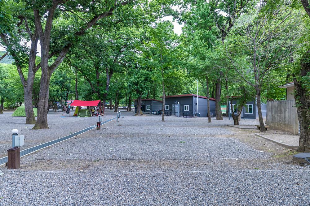 충북 금관숲캠핑장 소개