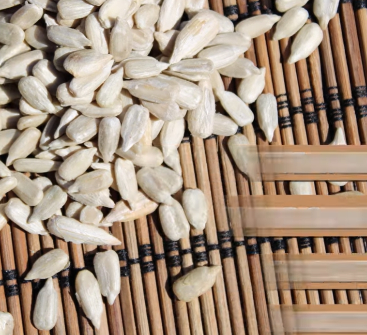 해바라기 씨 효능