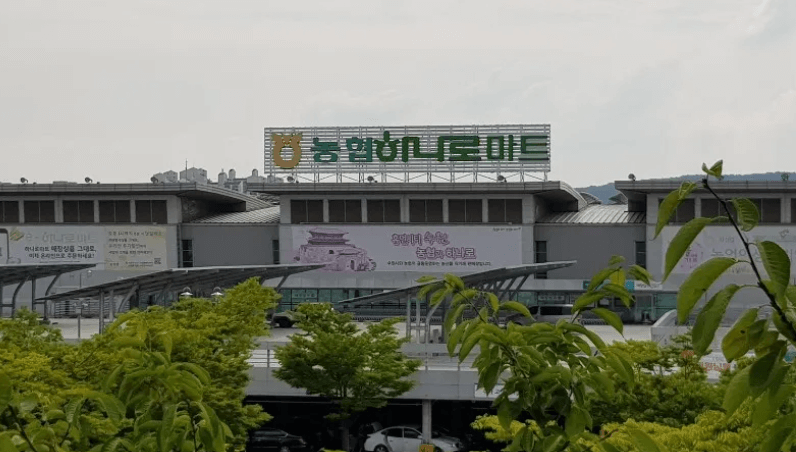 소비쿠폰 하나로마트 사용처