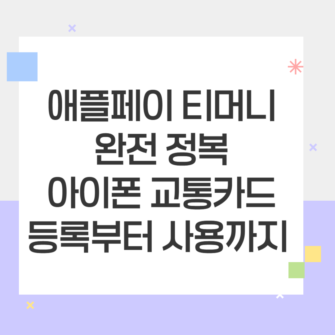 애플페이 티머니