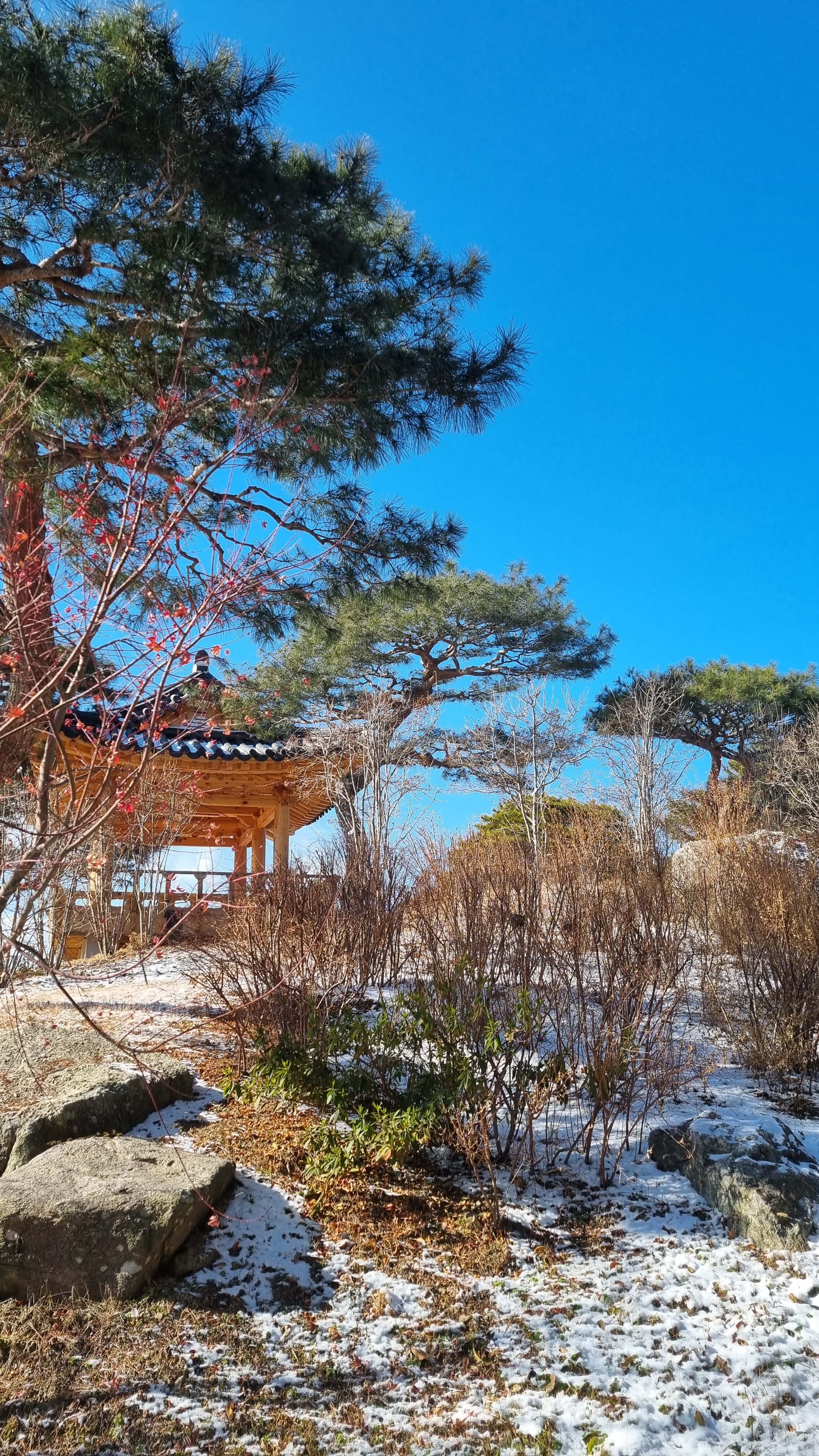 군위 사유원 예약 3분 완벽 정리