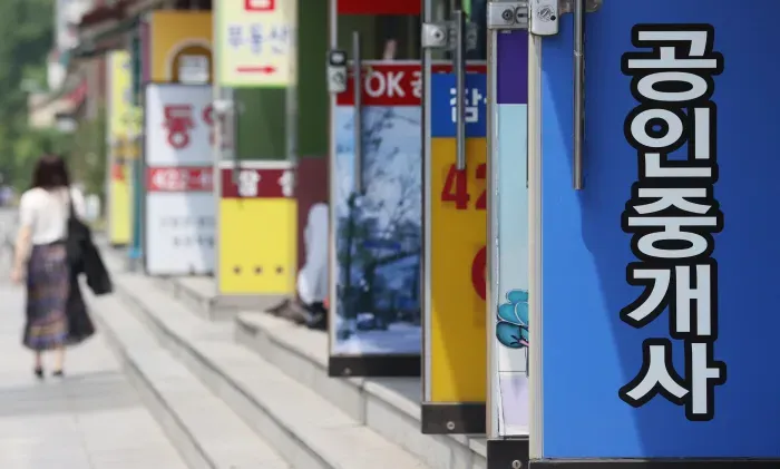 공인중개사 개업률 역대 최저(개업률,포화,현실,플랫폼) 관련사진