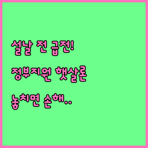 설날 전 급전 마련을 위한 정부지원 ..