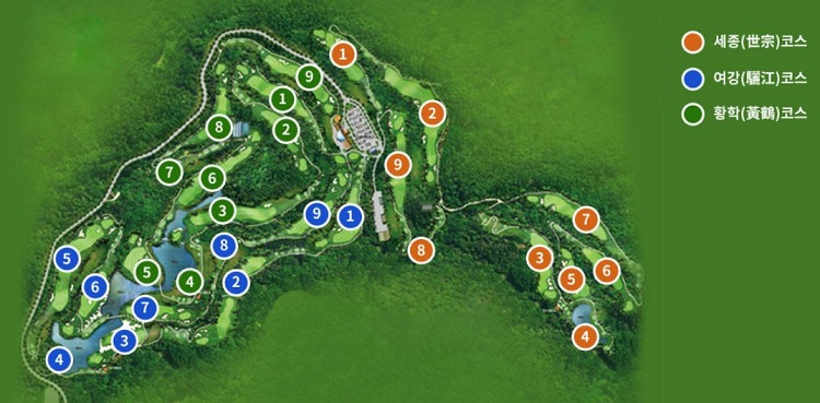 소피아그린cc-코스