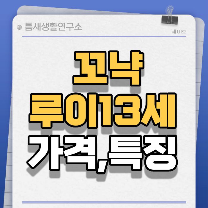 꼬냑루이13세-썸네일