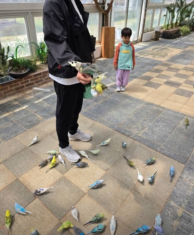 포천 가볼만한곳 베스트10 평강랜드