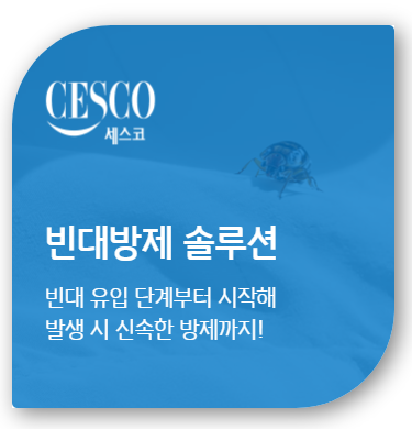 세스코 가정집 비용