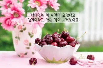 계절 인사말 모음 예시 문자_12