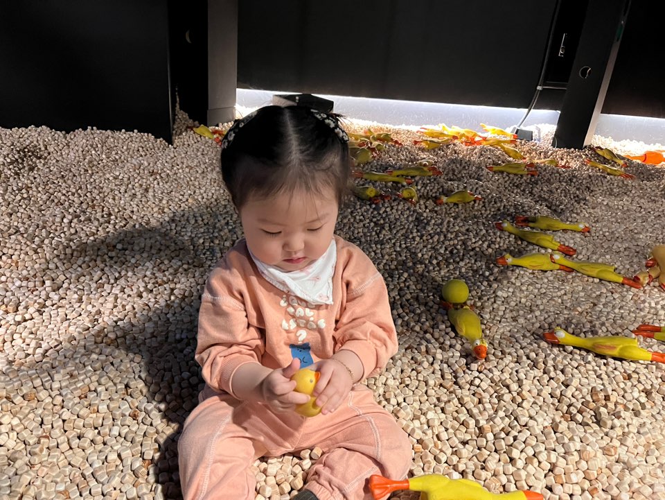 워너두칠드런스뮤지엄