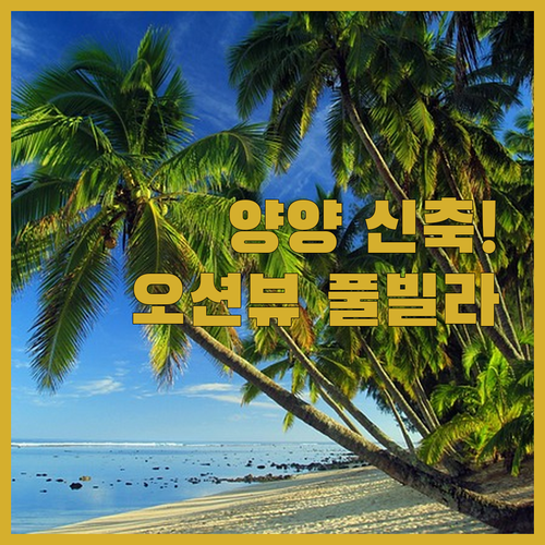 양양 가족 여행 숙소 추천 오션뷰 호..