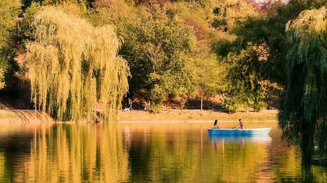 (기업 공통&middot;재취업&middot;4050 전직&middot;비전공 포함)