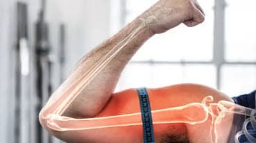 🍗 단백질, 얼마나 먹어야 건강할까? 올바른 섭취법부터 과잉의 위험까지