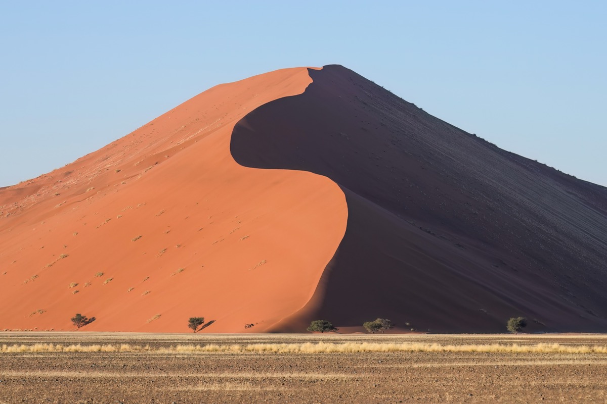 Dune 45 in Sossusvlei (Namibia) at sunrise. Dune 45 is composed of iron-rich quartz sand, whose deepening red tones result from the gradual oxidation of iron over millions of years. The sand grains originated from sediments carried by the Orange River into the Atlantic Ocean and transported northward by coastal currents before being blown inland by strong south-westerly winds. The Namib Desert itself is considered one of the oldest deserts on Earth&mdash;at least 5 million years old, and possibly up to 55&ndash;80 million years in its broader geological history. The dune fields around Sossusvlei, including Dune 45, are thought to have formed in their present configuration over the last 2&ndash;3 million years, shaped continually by wind-driven (aeolian) processes. Although the dune&rsquo;s crest and slipface shift subtly over time, its overall structure remains relatively stable due to the region&rsquo;s hyper-arid climate.