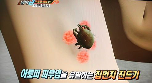 집벌레 종류 퇴치법