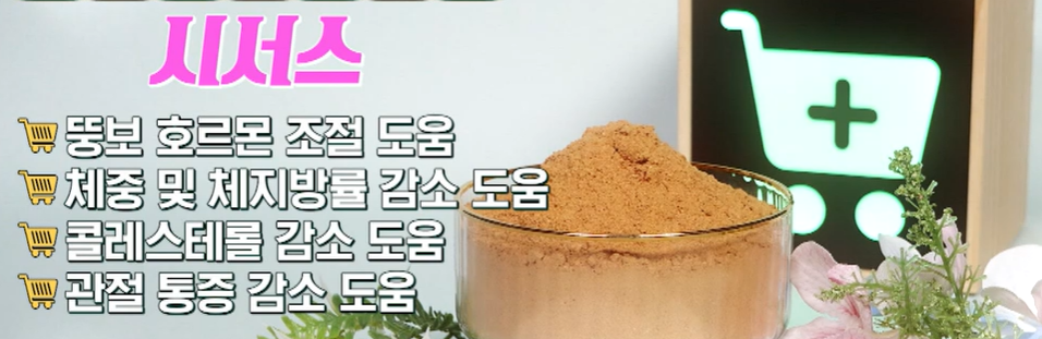 시서스 효능