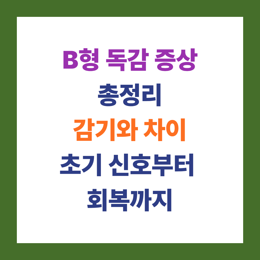 B형 독감 증상 총정리