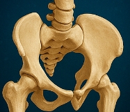 비타민D 하루 권장량