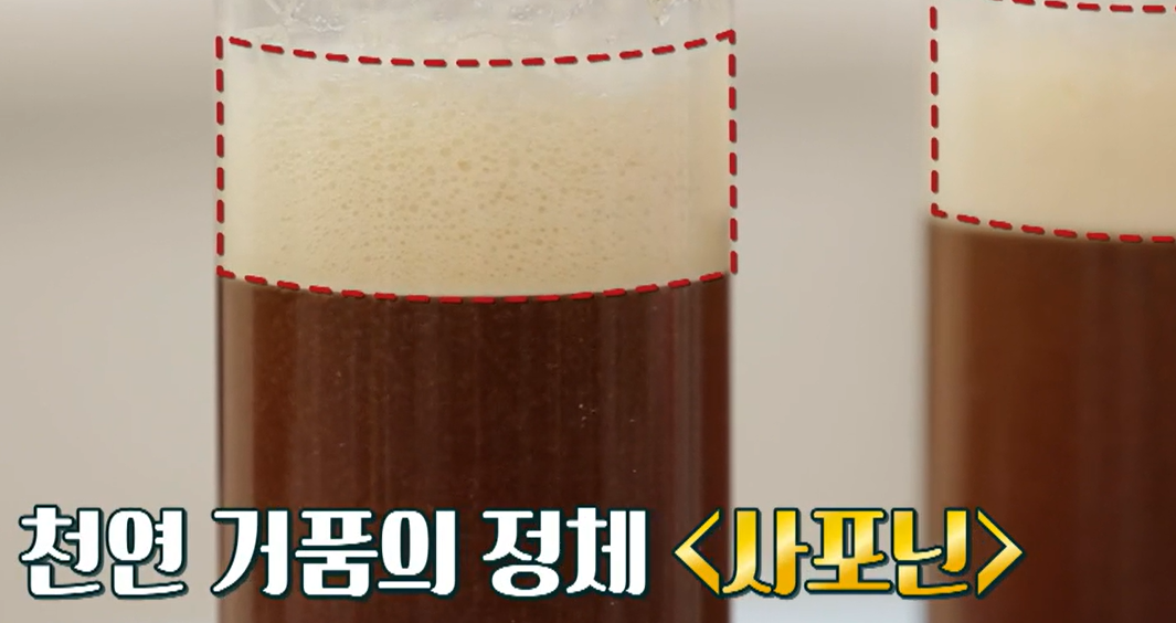 맥문동 효능
