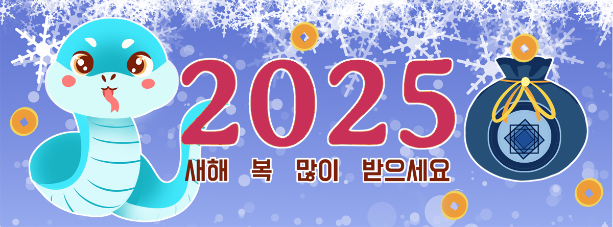 2025 새해