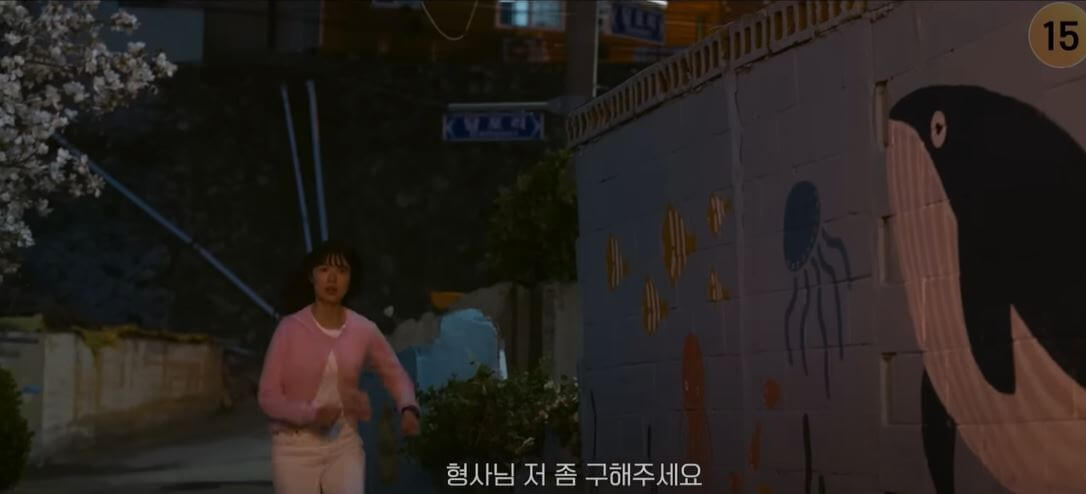 솔