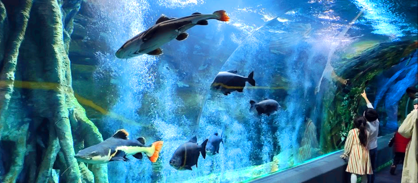 잠실 롯데 아쿠아리움