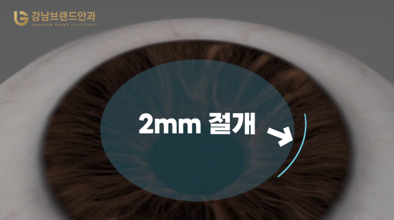 스마트라섹