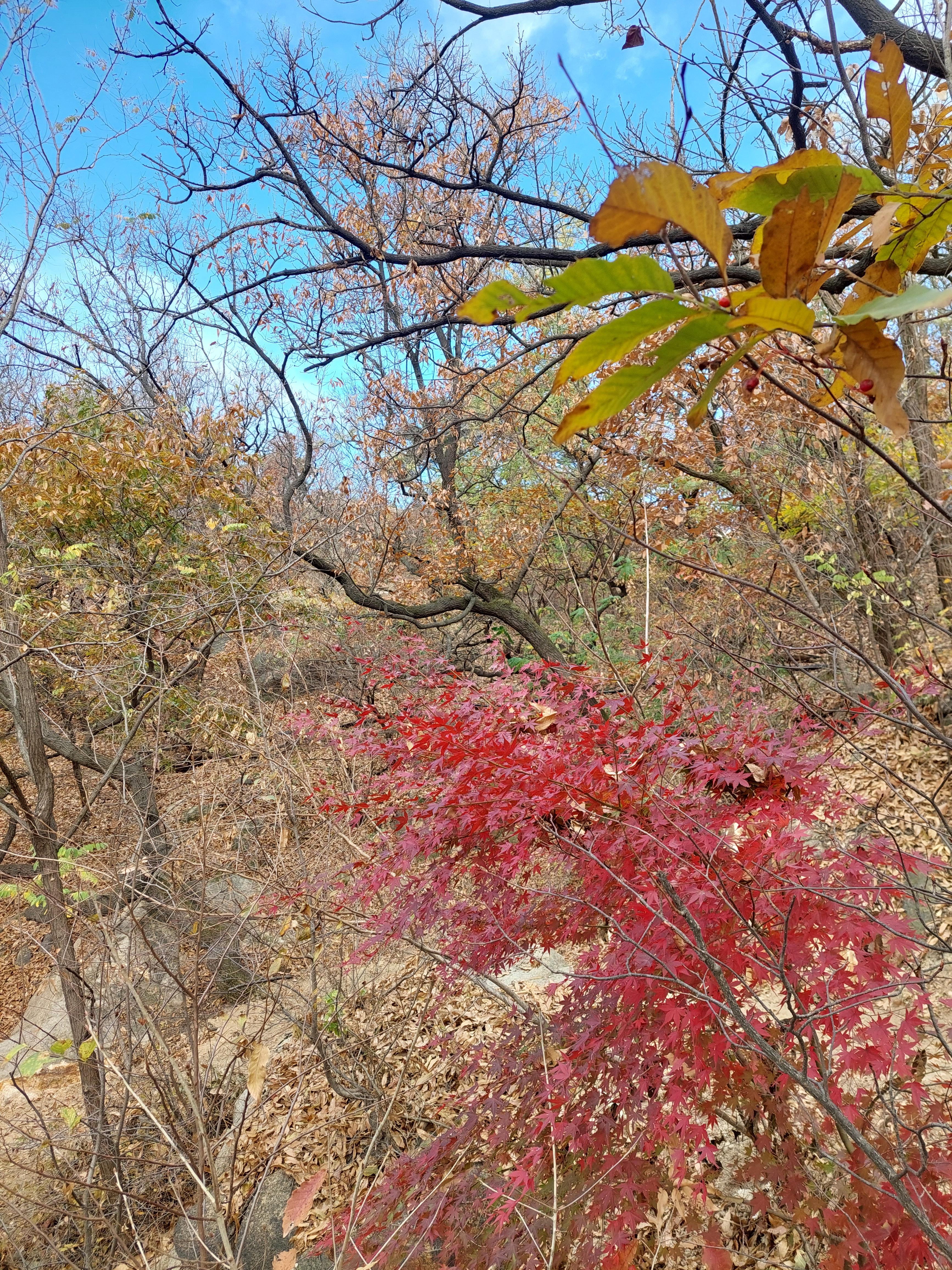 안산