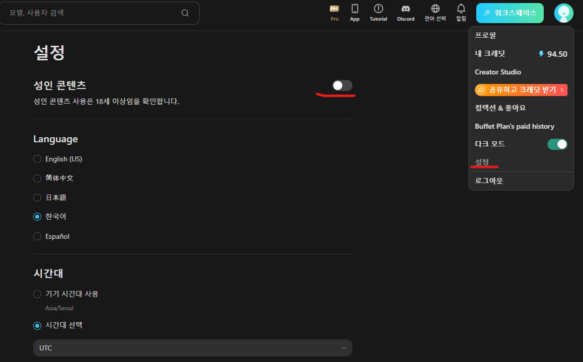 성인 컨텐츠 설정