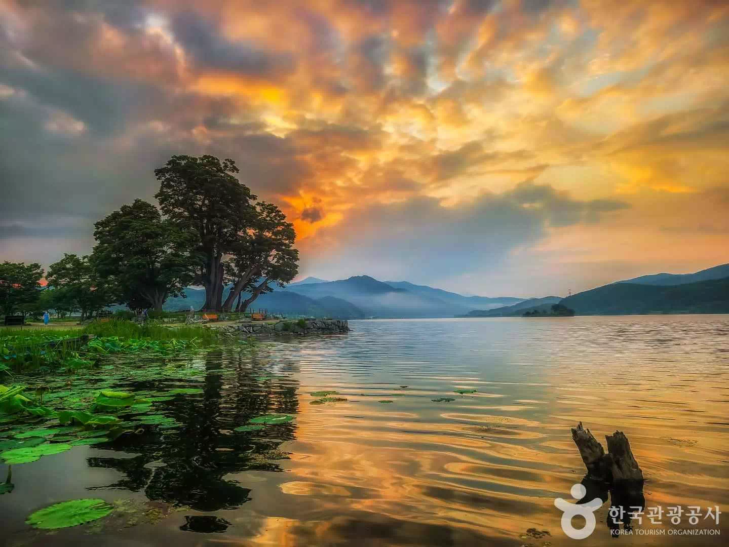 다이루어질지니-촬영장소