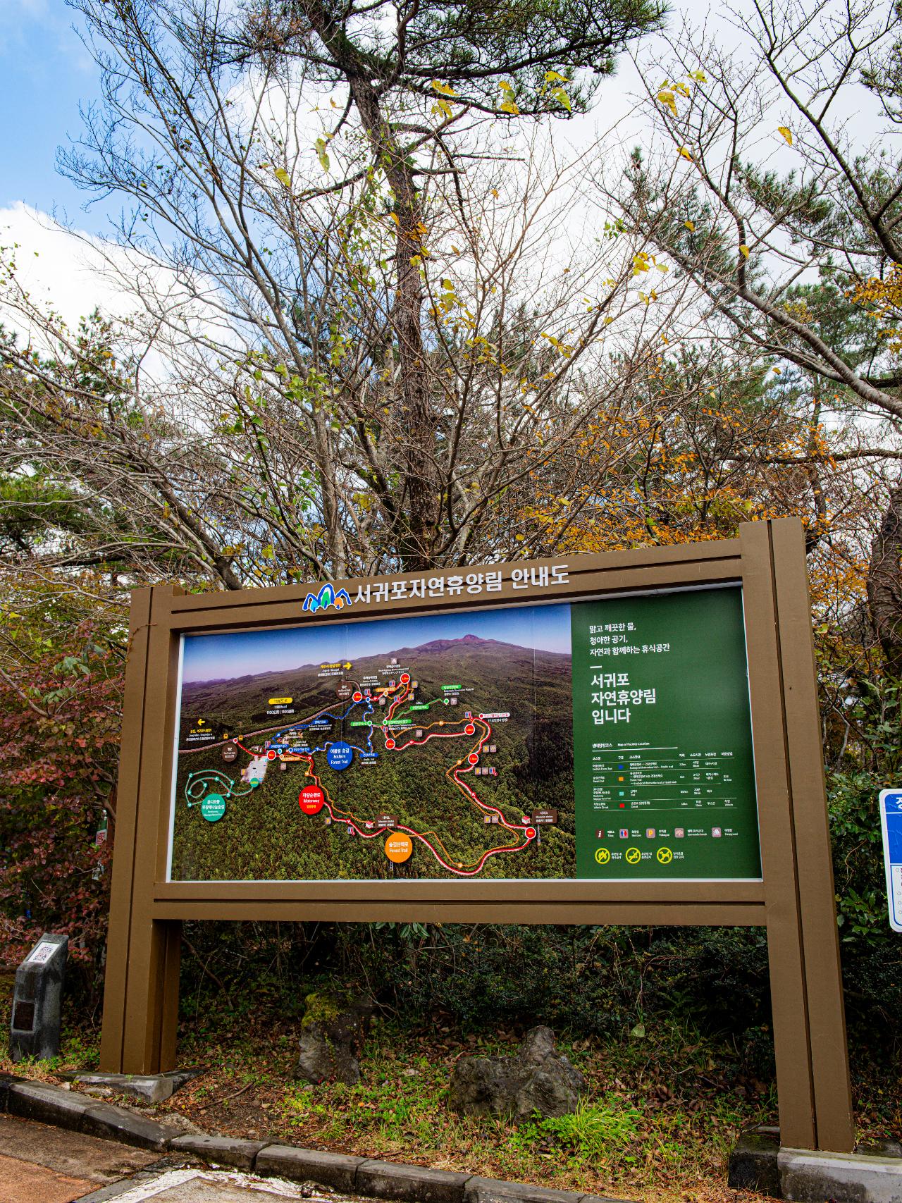 서귀포자연휴양림 관련 사진(제주관광공사 홈페이지에서)