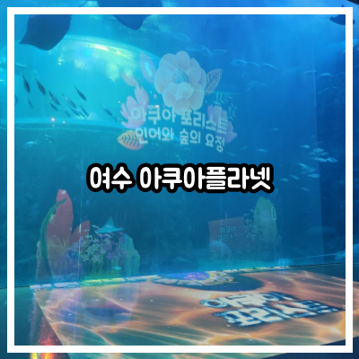 여수 아쿠아플라넷