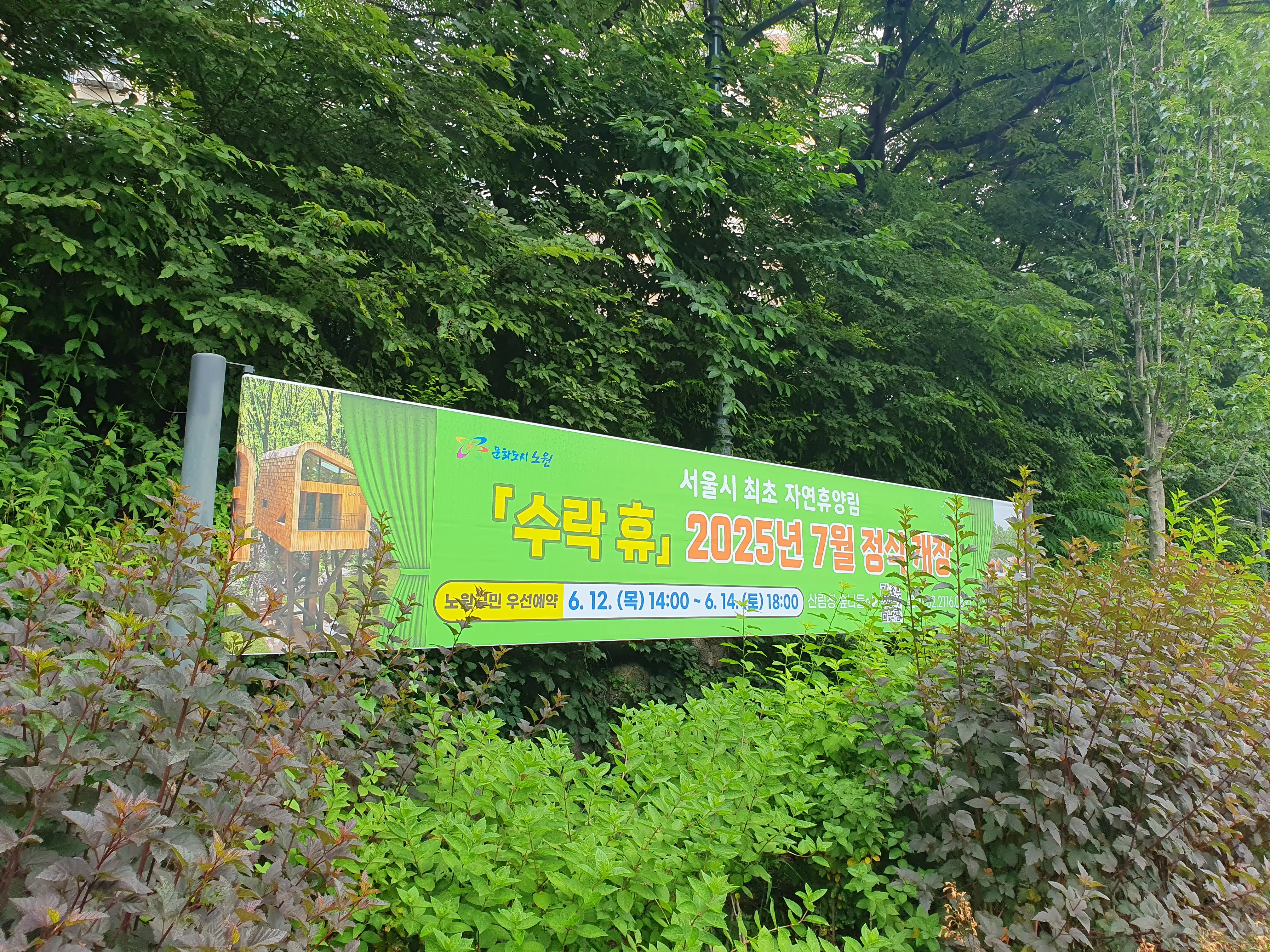 노원구민-우선예약