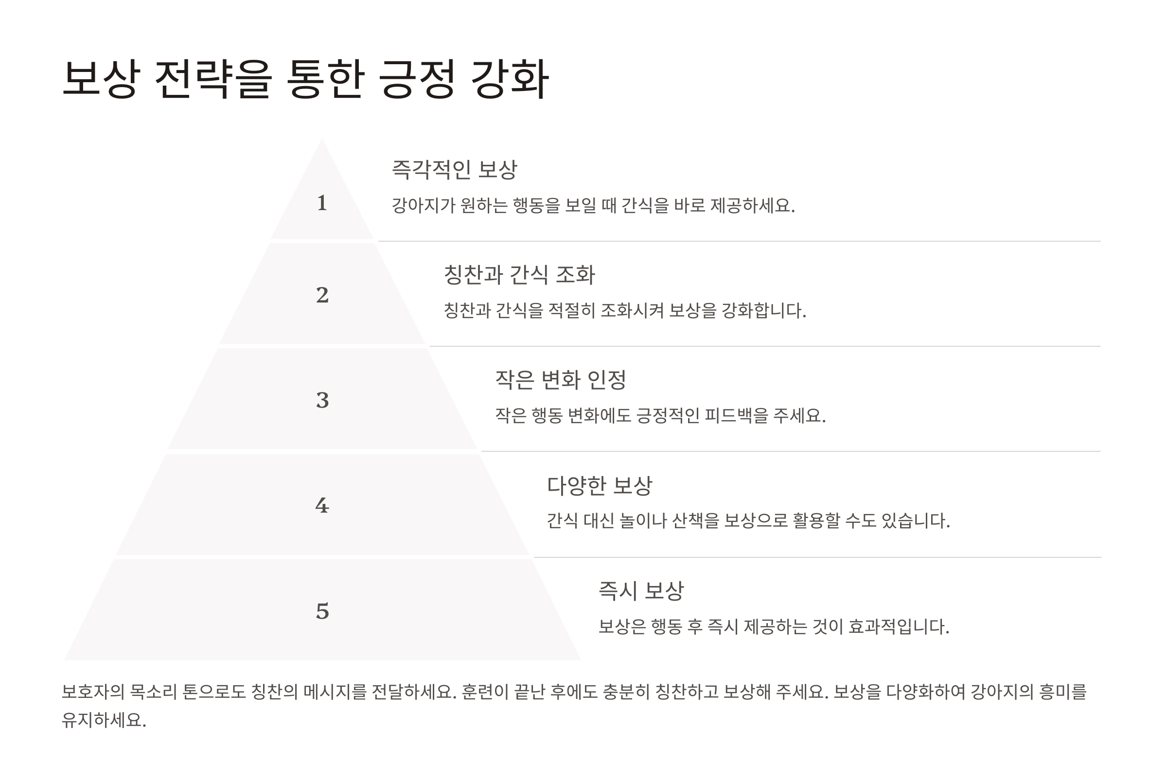 보상 전략을 통한 긍정 강화