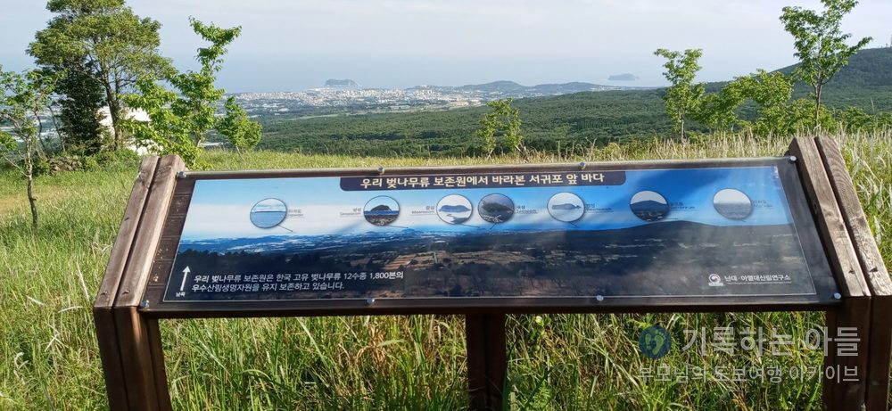 벚나무류 보존원 앞 전망대에서 바라본 서귀포 앞바다 안내판