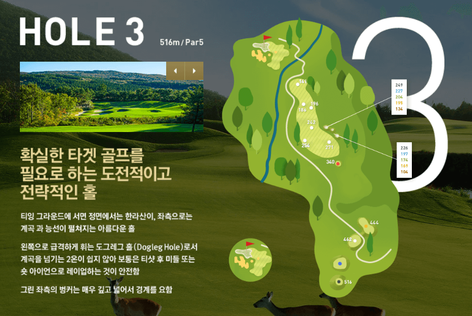 나인브릿지 CC의 코스 공략도 03