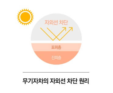올리브영 추천 선크림