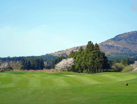 제12회 제주삼다수 마스터스 무료티켓 주차장 갤러리 총정리