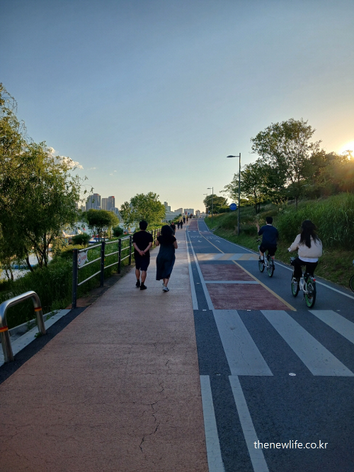 People walking and cycling on a hard asphalt path &ndash; a common situation that may trigger knee pain-아스팔트 도보길과 자전거 도로에서 걷고 있는 사람들 &ndash; 무릎 통증을 유발할 수 있는 대표 환경