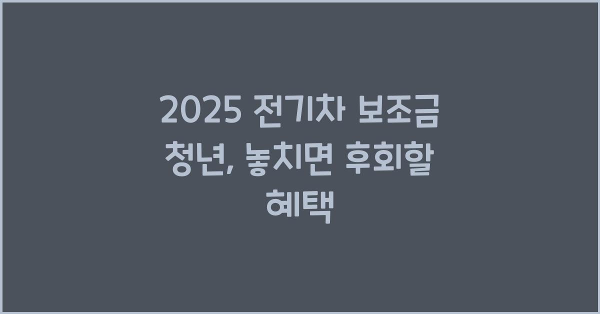 2025 전기차 보조금 청년