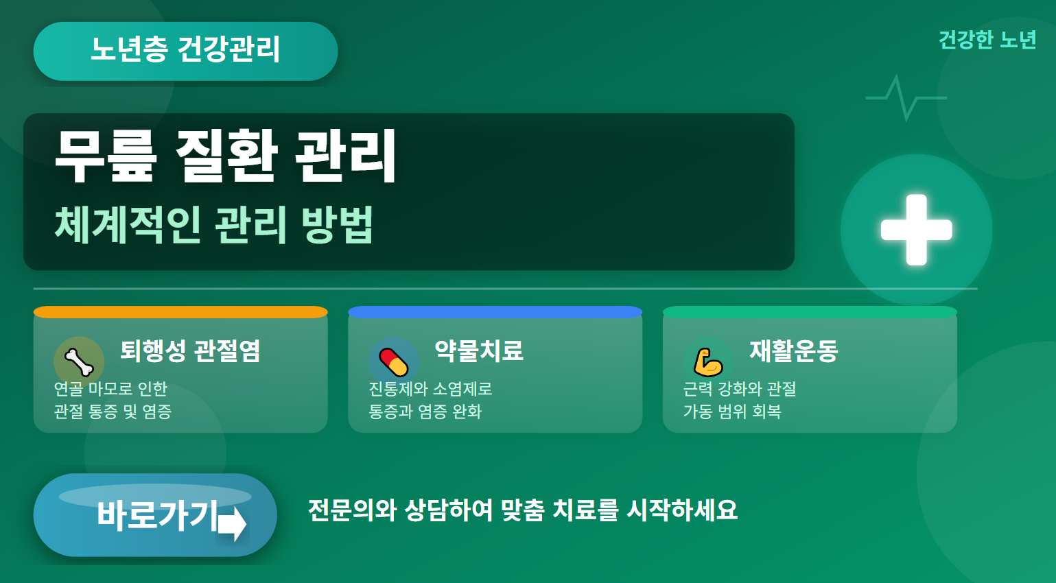 노년층 무릎 질환 관리 (퇴행성 관절염, 약물치료, 재활운동)