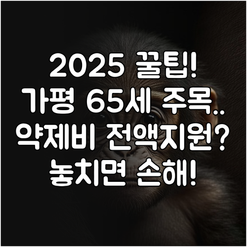 2025 가평군 65세 이상 만성질환..